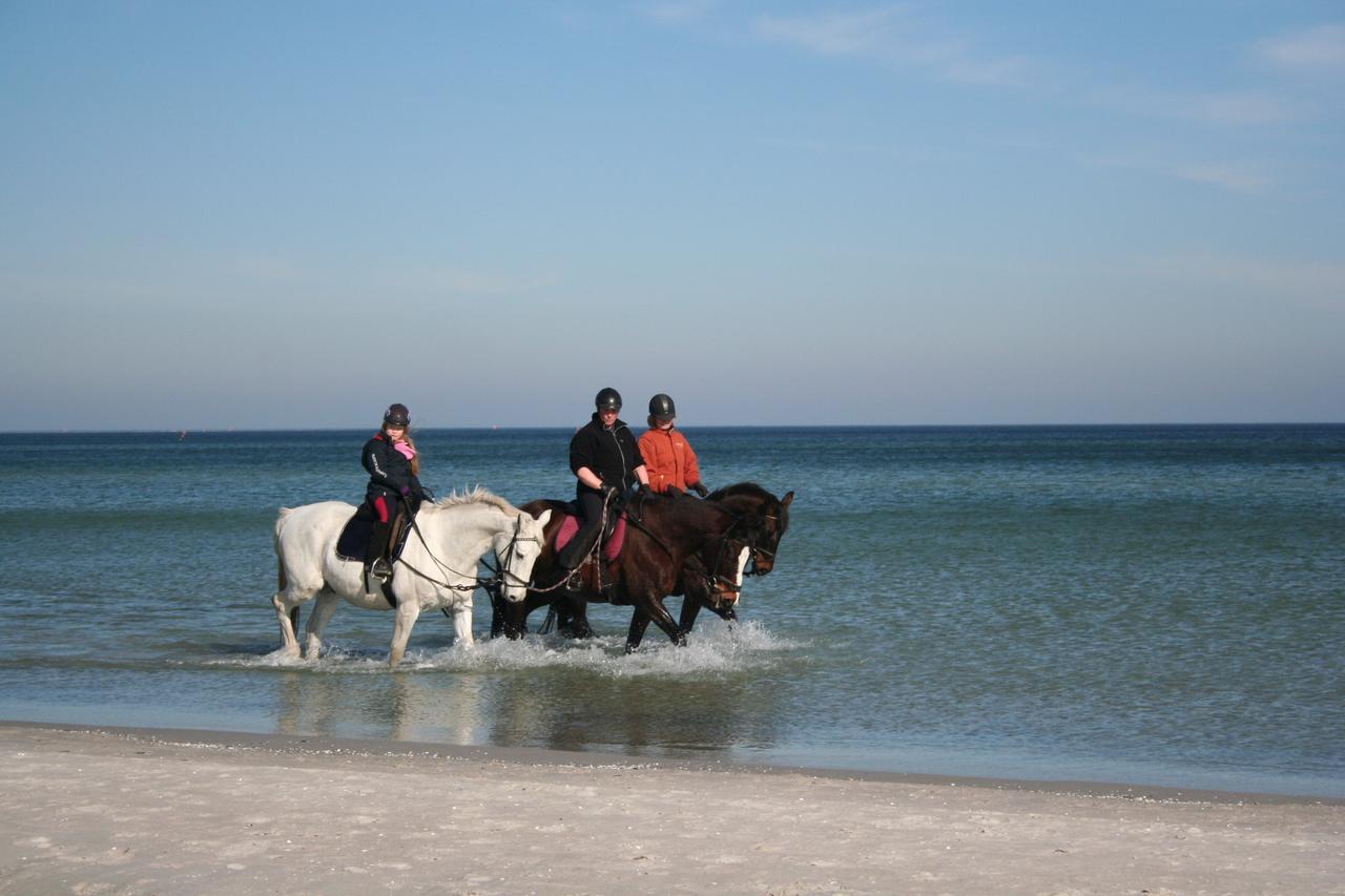 Villa Strandblick 3 Zingst Esterno foto